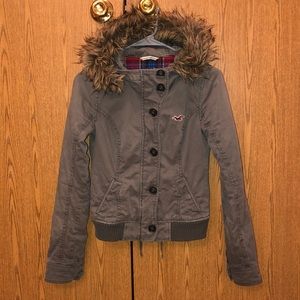 Hollister Winter Coat